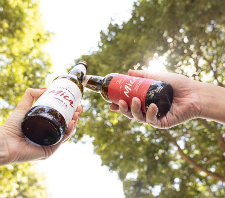 dos personas brindan con cervezas de un pack vermeet