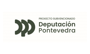 deputación pontevedra